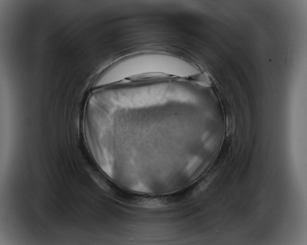 X0000082960349200703020217