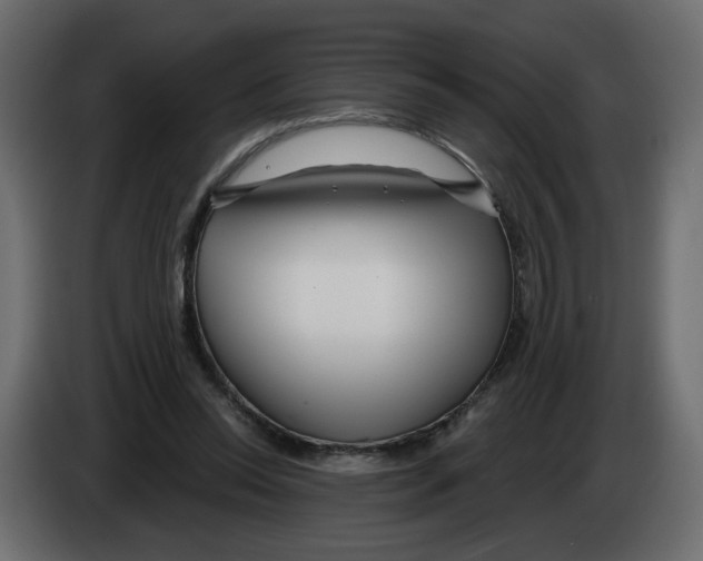 X0000082960350200703020217