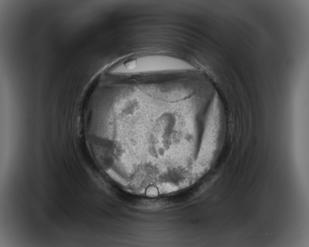 X0000082960351200703020217