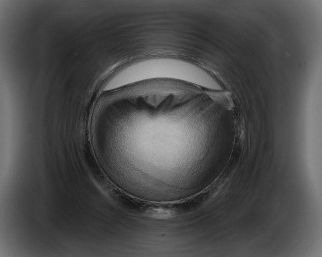 X0000082960352200703020217