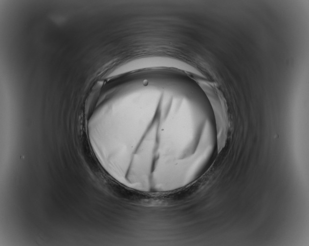 X0000082960356200703020217