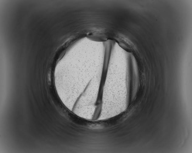 X0000082960358200703020217