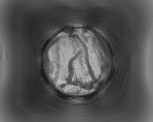 X0000082960359200703020217