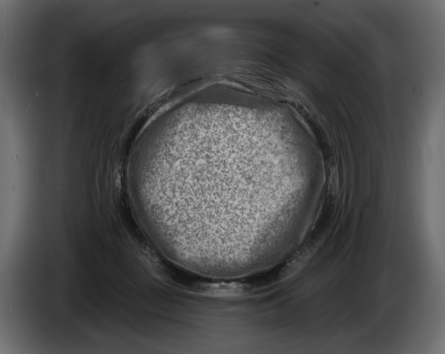 X0000082960363200703020217