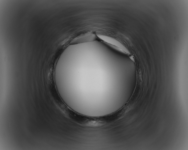 X0000082960364200703020217