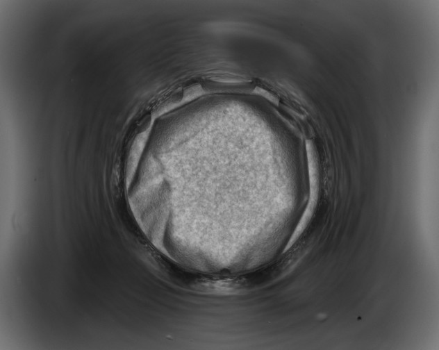 X0000082960365200703020217