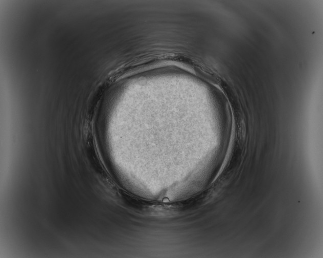 X0000082960367200703020217