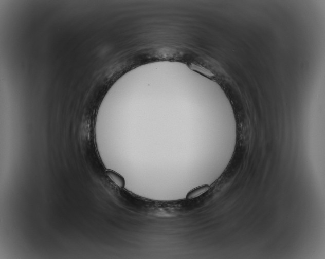 X0000082960368200703020217