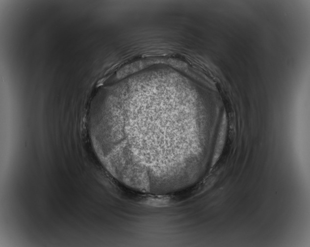 X0000082960369200703020217