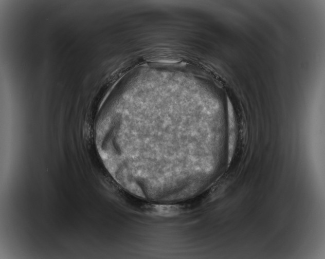 X0000082960371200703020217