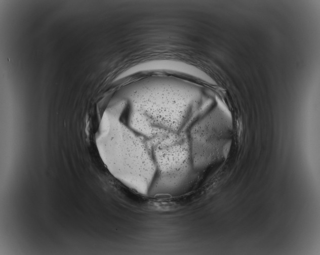 X0000082960372200703020217