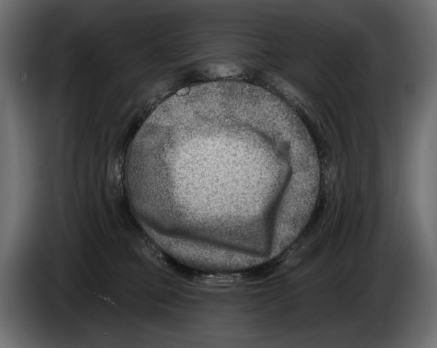 X0000082960373200703020217