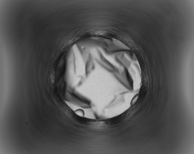 X0000082960374200703020217