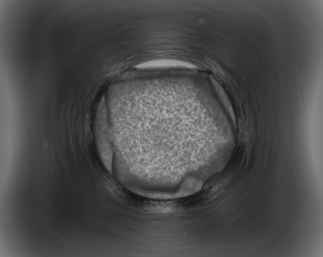 X0000082960377200703020218