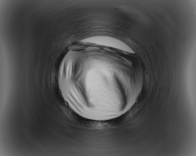 X0000082960379200703020218