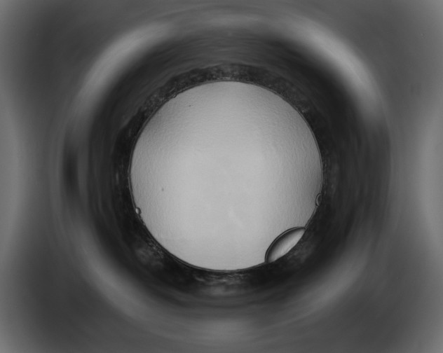 X0000082960382200703020218