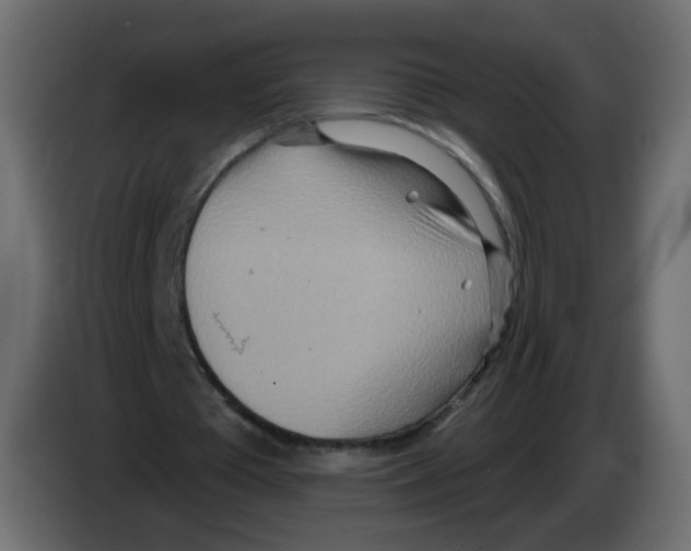 X0000082960385200703020217