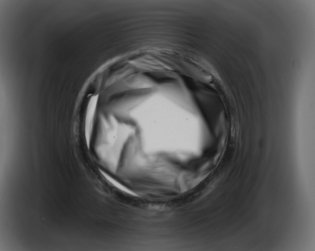 X0000082960388200703020217