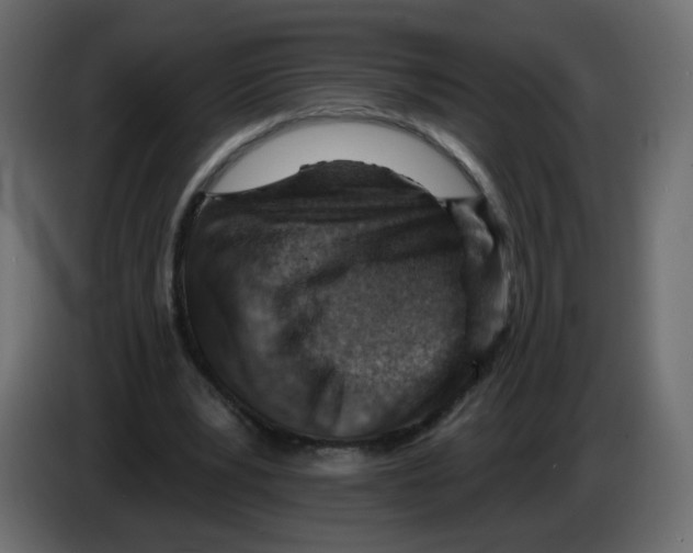 X0000082960391200703020217