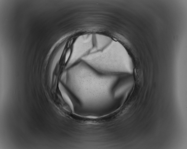 X0000082960392200703020217