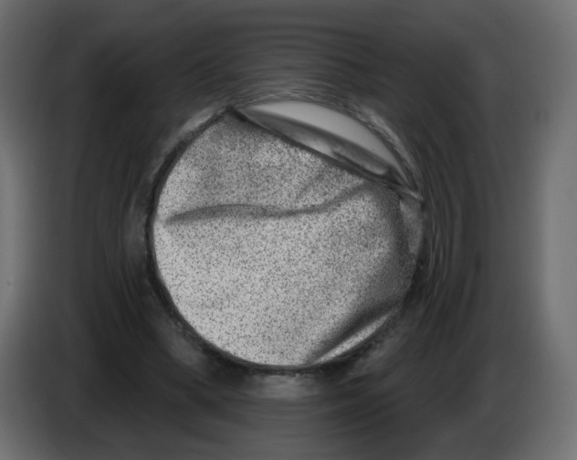 X0000082960394200703020217