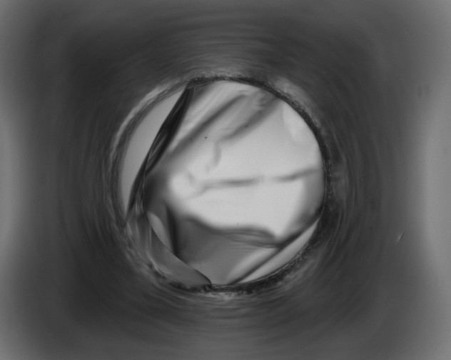 X0000082960395200703020217