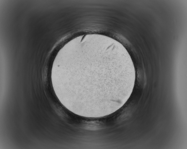 X0000082960396200703020217