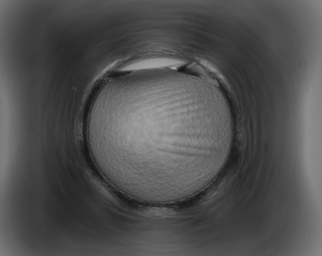 X0000082960399200703020217