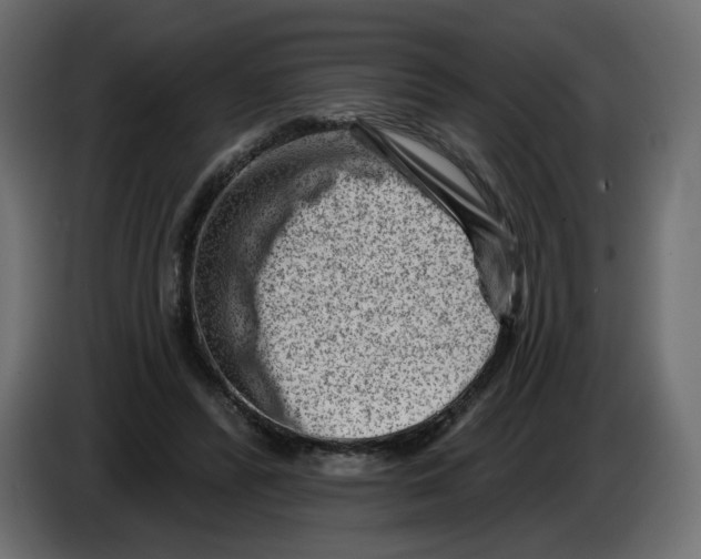 X0000082960400200703020217