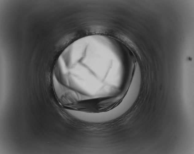 X0000082960401200703020217