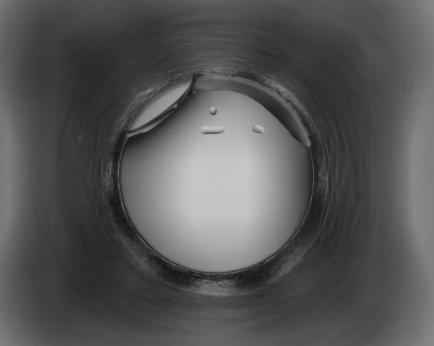 X0000082960403200703020217