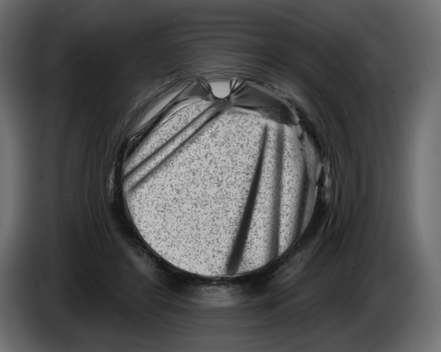 X0000082960404200703020217