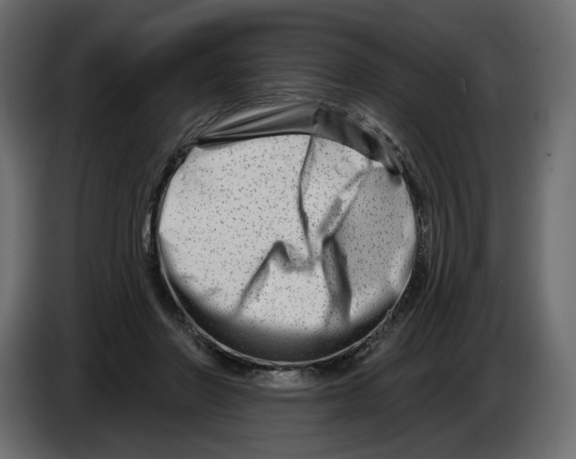 X0000082960406200703020217