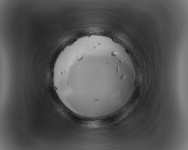 X0000082960411200703020217