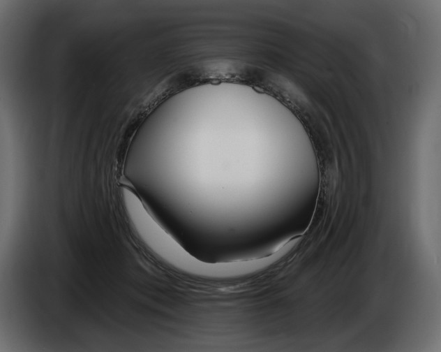 X0000082960413200703020217