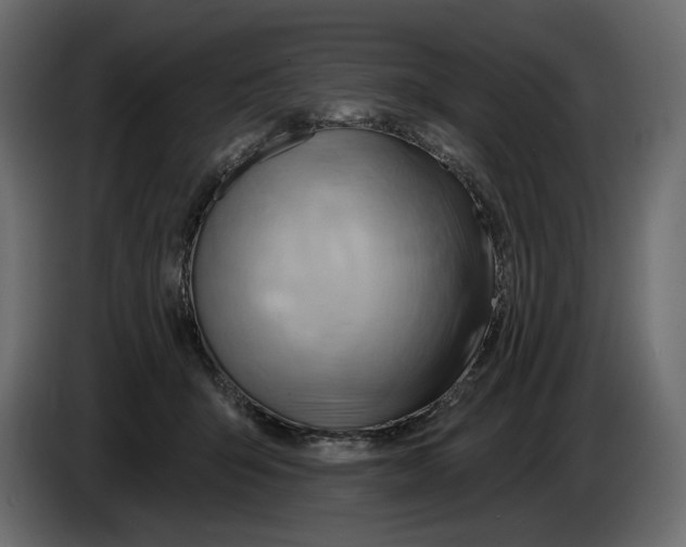 X0000082960415200703020217