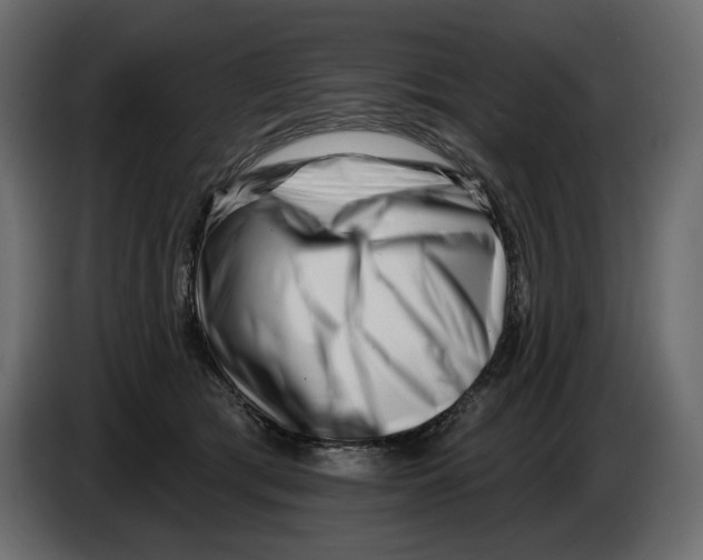 X0000082960417200703020216