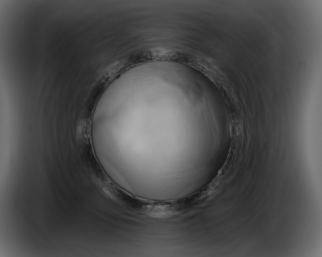 X0000082960419200703020216