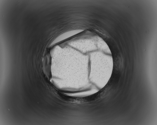 X0000082960420200703020216