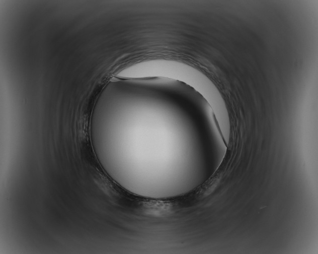 X0000082960421200703020216