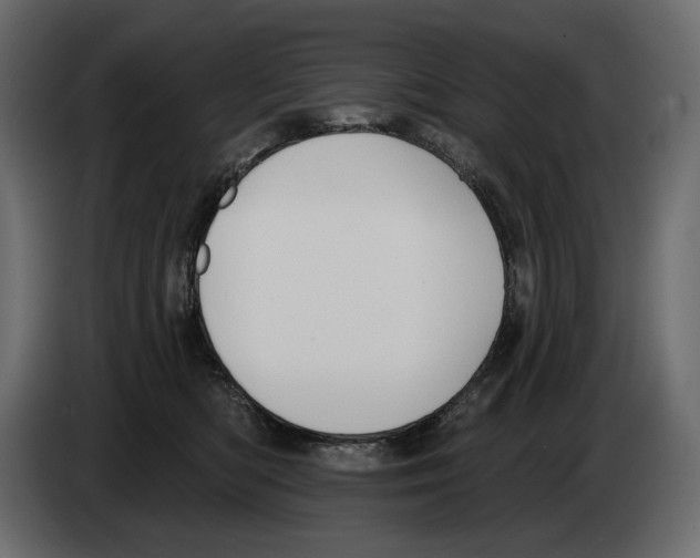 X0000082960422200703020216