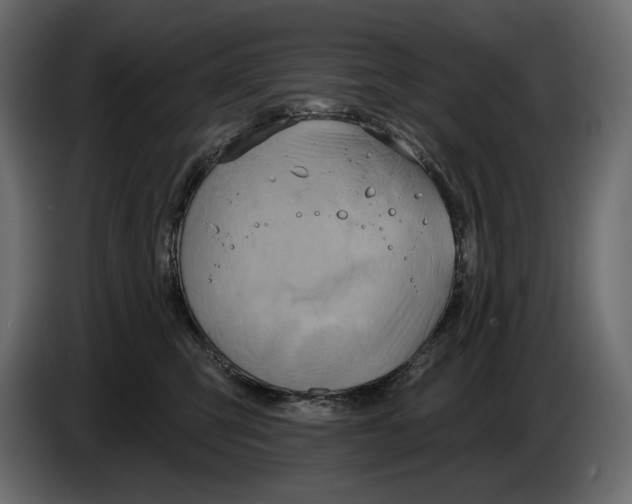 X0000082960423200703020216