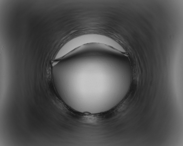 X0000082960425200703020216