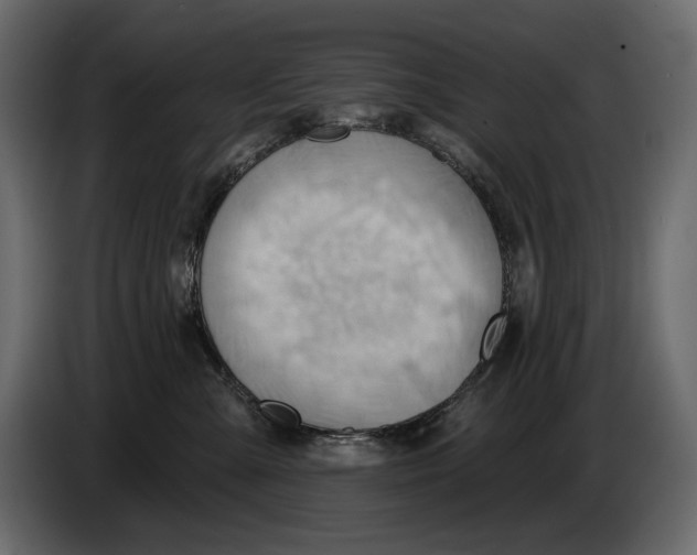 X0000082960427200703020216