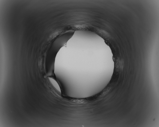 X0000082960428200703020216