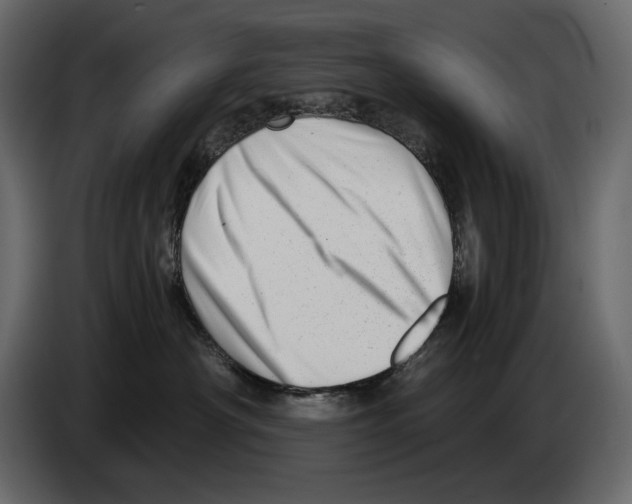 X0000082960430200703020216