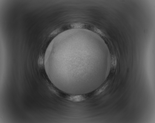 X0000082960431200703020216