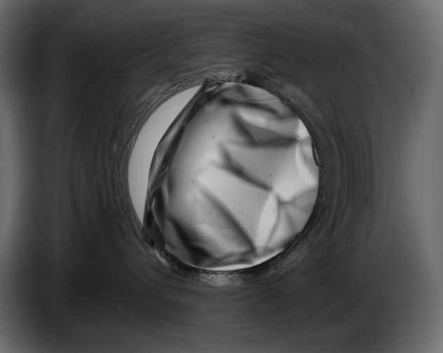 X0000082960432200703020216