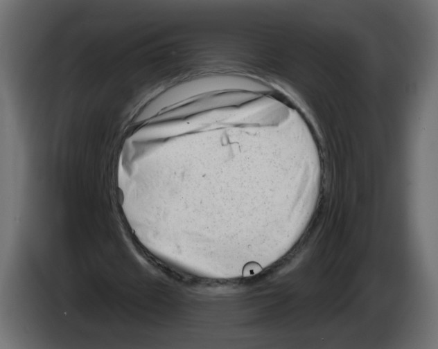 X0000082960433200703020216