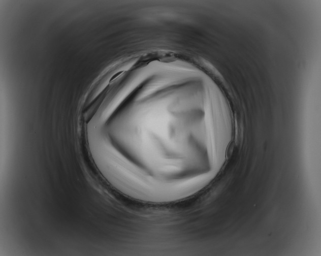 X0000082960435200703020216